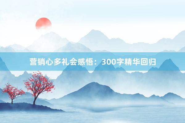 营销心多礼会感悟：300字精华回归